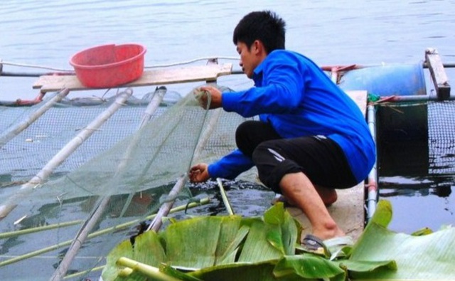 Những chàng trai trẻ người Thái nuôi cá trên lòng hồ thủy điện - 3 Những chàng trai trẻ người Thái nuôi cá trên lòng hồ thủy điện - 3