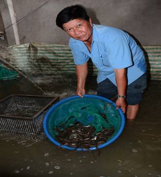 Tỷ phú nông dân nuôi cá chình đặc sản ở đất Kiên Giang - Ảnh 1. Tỷ phú nông dân nuôi cá chình đặc sản ở đất Kiên Giang - Ảnh 1.