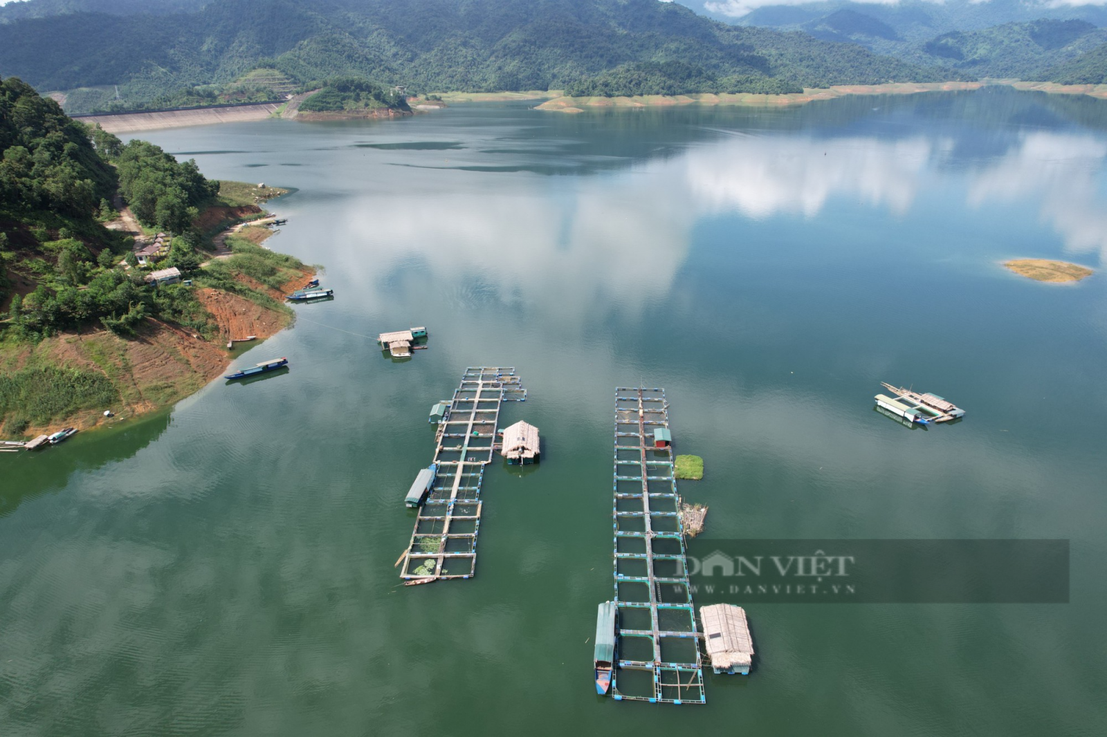 Liên kết nuôi cá trên lòng hồ thuỷ điện, nhiều nông dân cùng làm giàu - Ảnh 2. Liên kết nuôi cá trên lòng hồ thuỷ điện, nhiều nông dân cùng làm giàu - Ảnh 2.