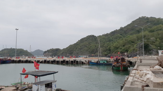 cang-ca-tran-chau-chuan-221622_637.jpg Cảng cá Trân Châu. Ảnh: Đinh Mười.