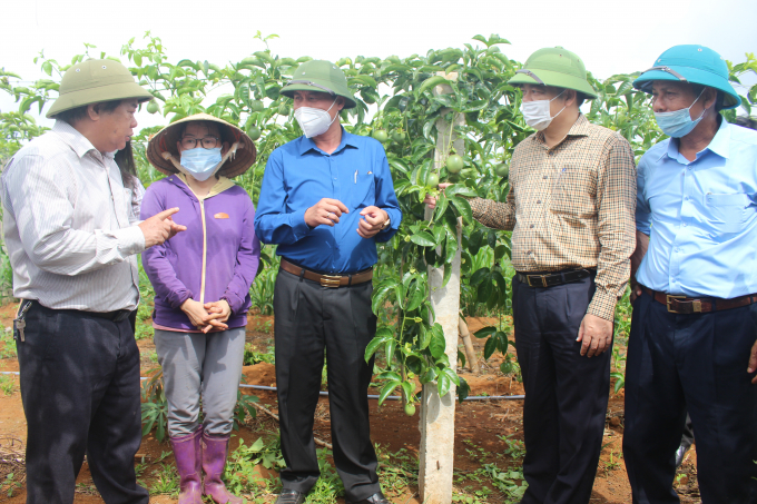 08151636chu_tich_tinh_quang_tri_vo_van_hung_tham_vuon_chanh_leo_o_vinh_linh-081516.jpg Lãnh đạo ngành nông nghiệp Quảng Trị rất kỳ vọng vào tiềm năng cây chanh leo ở những vùng đất khó của tỉnh. Ảnh: Việt Toàn.