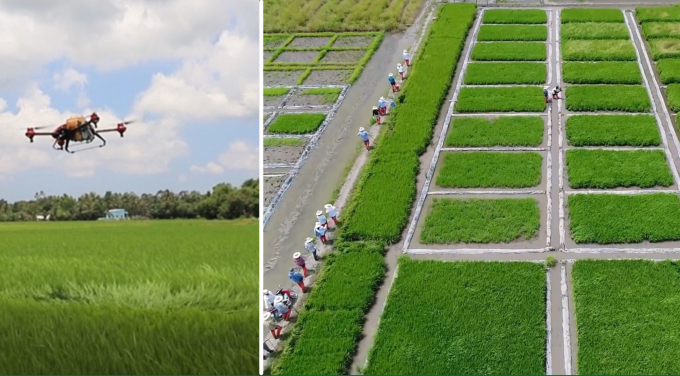 drone-101534_942.jpg Khảo nghiệm drone ở Tiền Giang do một công ty thàn viên của CropLife thực hiện. Ảnh: CropLife.