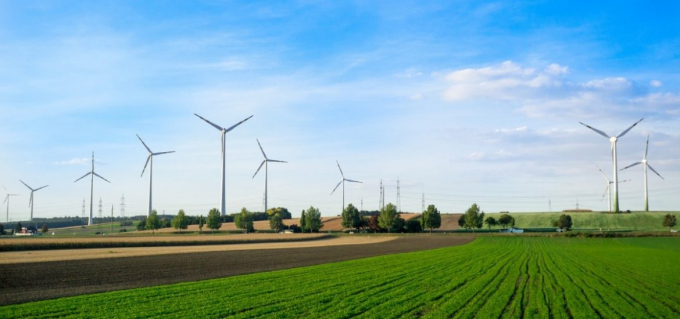 eu-agriculture-392agbxgxnl9zvelyobuo0-0830_20210404_559.jpg Một góc trang trại thí điểm nông nghiệp bền vững ở Đại học Wageningen. Ảnh: ERN