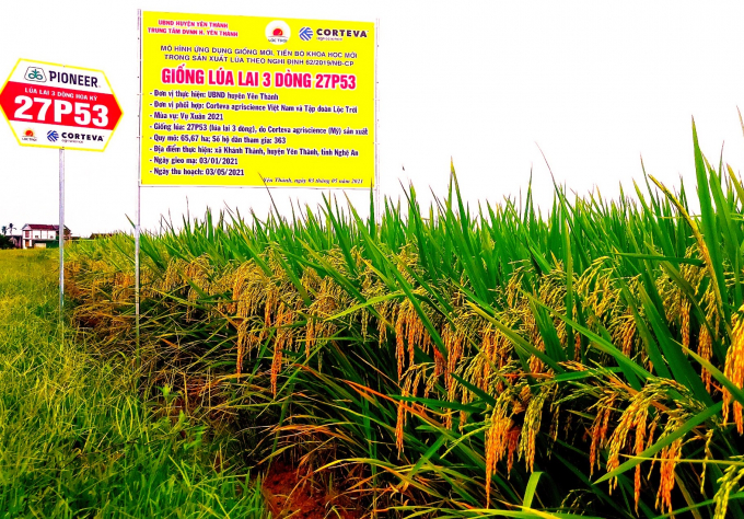 0910063a1-091006.jpg Mô hình cánh đồng mẫu lớn (65,67 ha) vụ xuân 2021 tại Yên Thành, Nghệ An.