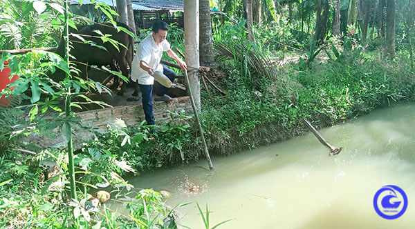 Chuyện lạ Tiền Giang, nuôi sâu để bắt sâu nuôi cá, nông dân khá lên - Ảnh 1. Chuyện lạ Tiền Giang, nuôi sâu để bắt sâu nuôi cá, nông dân khá lên - Ảnh 1.