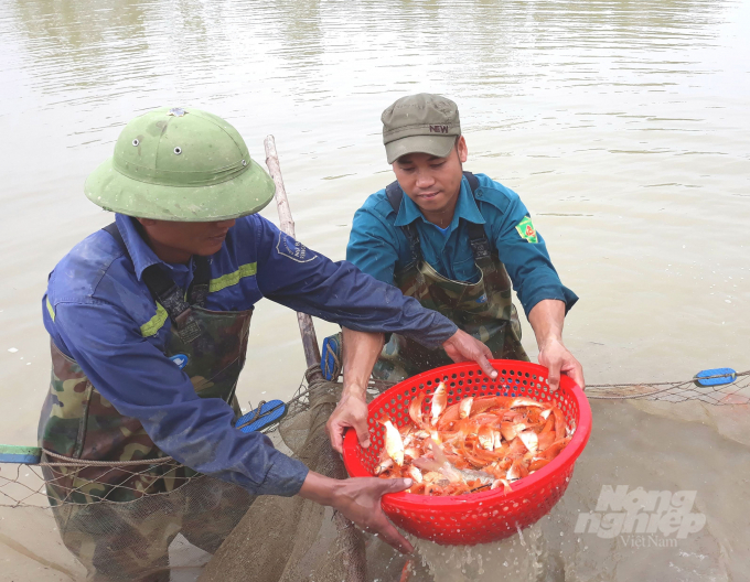 20181227_154430-232150_668.jpg Với hệ thống cơ sở hạ tầng hiện nay, người nuôi trồng thủy sản Nghệ An có thể vững tin gắn bó với nghề. Ảnh: Việt Khánh.