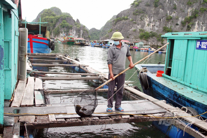 phat-trien-nuoi-thuy-san-long-be-o-cat-ba-ben-vung-than-thien-moi-truong-202723_692.jpg Các cơ sở nuôi trồng được khuyến khích ưu tiên sử dụng vật liệu làm lồng, phao nổi bằng vật liệu nhựa HDPE, không sử dụng các vật liệu như hiện nay. Ảnh: Đinh Mười.