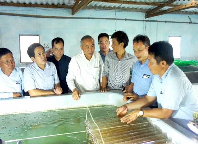 bn1-1145_20211026_888.jpg Thứ trưởng Bộ NN-PTNT Phùng Đức Tiến trong một lần thăm trại nghiên cứu sản xuất giống bào ngư 9 lỗ tại đảo Bạch Long Vỹ. Ảnh: CTV.