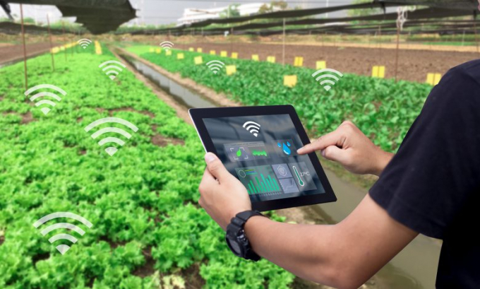 iot-101253_497.jpg Nông dân Việt Nam quan tâm tới số hóa nhiều hơn các nước khác trong khu vực. Ảnh: TL.