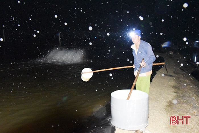 Để bảo vệ tôm trước mưa, rét, các hồ nuôi ở Lộc Hà đánh vôi bột và Dolomite trong các ao nuôi vào ban đêm.