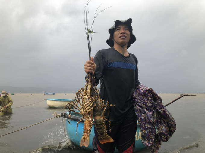 tom-hum-chet-154612_434.jpg Người nuôi tôm hùm ở phường Xuân Yên, TX Sông Cầu (Phú Yên) buồn bã khi tôm nuôi bị chết. Ảnh: CTV.