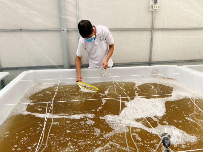 watermark_anh-1-1226_20210802_496.jpg TP. Cần Thơ có 121 cơ sở sản xuất, ương dưỡng giống thủy sản các loại. Ảnh: Lê Hoàng Vũ.