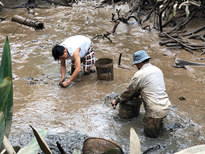 Xổ đập ngày Tết ở miền Tây, bắt tôm càng xanh to bự lên kho tàu làm cơm cúng ông bà, tổ tiên - Ảnh 1. Xổ đập ngày Tết ở miền Tây, bắt tôm càng xanh to bự lên kho tàu làm cơm cúng ông bà, tổ tiên - Ảnh 1.