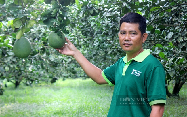 Anh Lê Minh Sang - Giám đốc HTX cây ăn quả Tân Mỹ, Bình Dương Nông dân Việt Nam xuất sắc năm 2022. Ảnh: Nguyên Vỹ