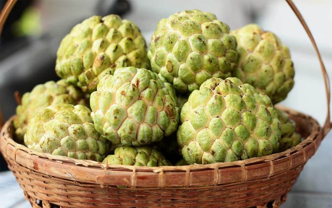 Loại quả lắm mắt không đếm xuể bán đầy ngoài chợ hóa ra có công dụng như "thần dược" mà ít ai biết - Ảnh 3.