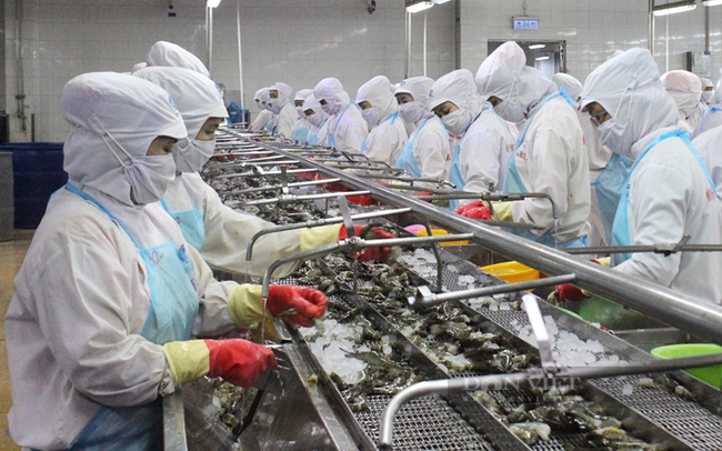 Các chính sách thắt chặt về xuất khẩu buộc các doanh nghiệp thủy sản phải tìm kiếm những giải pháp phù hợp để thích ứng. Ảnh: Trần Khánh Các chính sách thắt chặt về xuất khẩu buộc các doanh nghiệp thủy sản phải tìm kiếm những giải pháp phù hợp để thích ứng. Ảnh: Trần Khánh