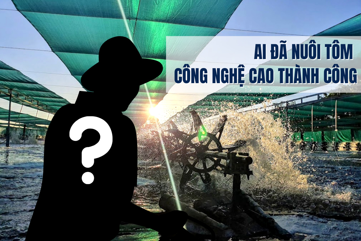 nuôi tôm công nghệ cao
