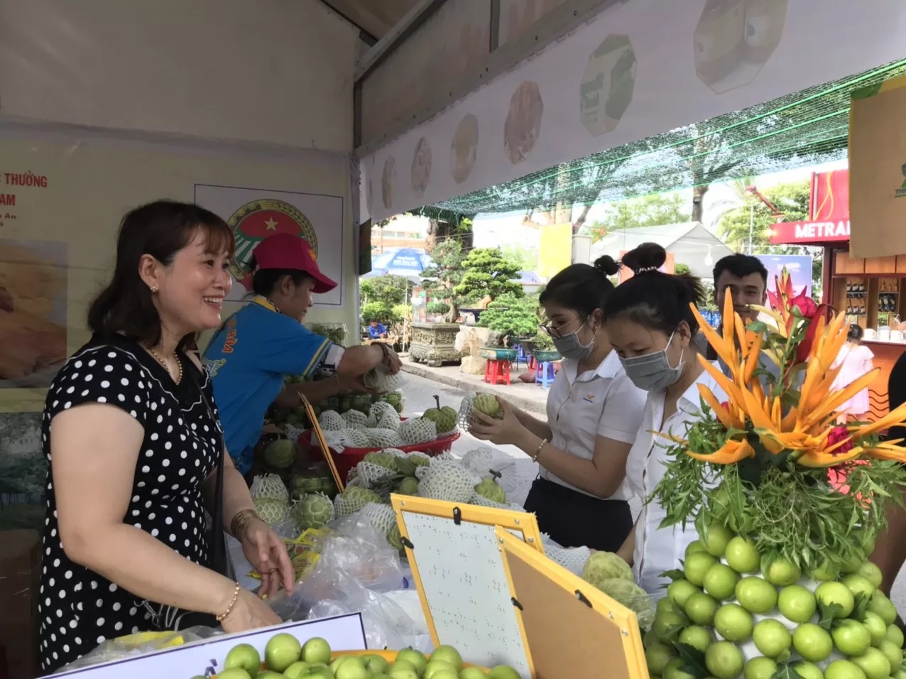Giá táo tăng mạnh, nông dân Khánh Hòa phấn khởi - Ảnh 3.
