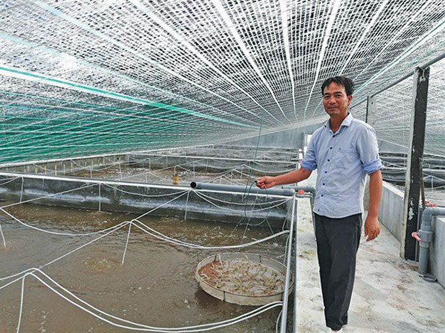 Anh Cường