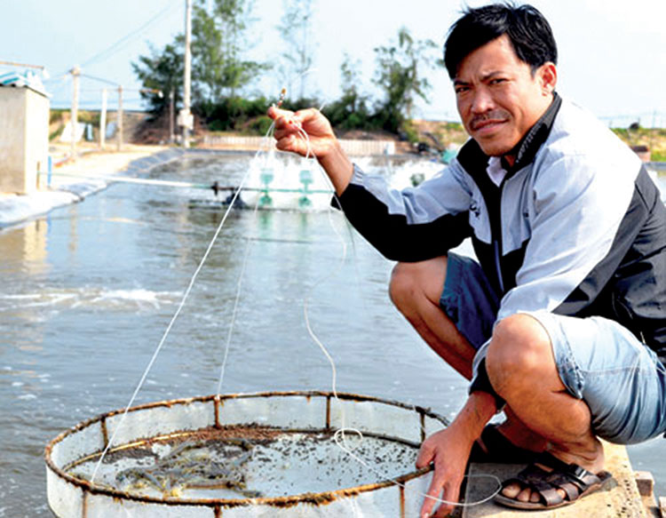 Anh Việt Nguyễn