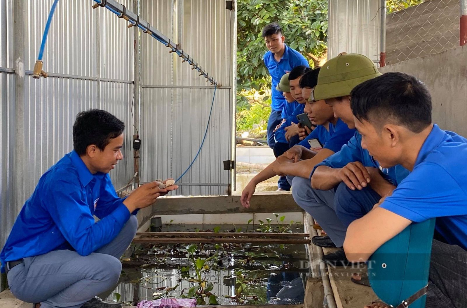 Anh Duy Luých ở Nghệ An biến những ao sình thành nơi hái ra tiền, giúp cả xóm có việc làm - Ảnh 3.
