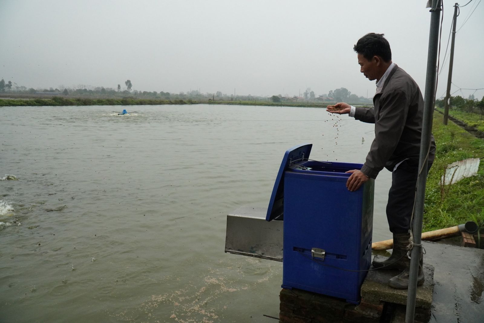 Bắc Ninh: Cá nuôi tăng 3-4 lần về sản lượng, Chủ tịch Hội Nông dân xã Xuân Lai vẫn lo vì điều này - Ảnh 2.