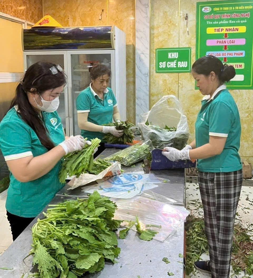 Rau sau khi thu hoạch từ nông trại được sơ chế để cung cấp cho các bếp ăn tập thể. Ảnh: Nhân vật cung cấp.