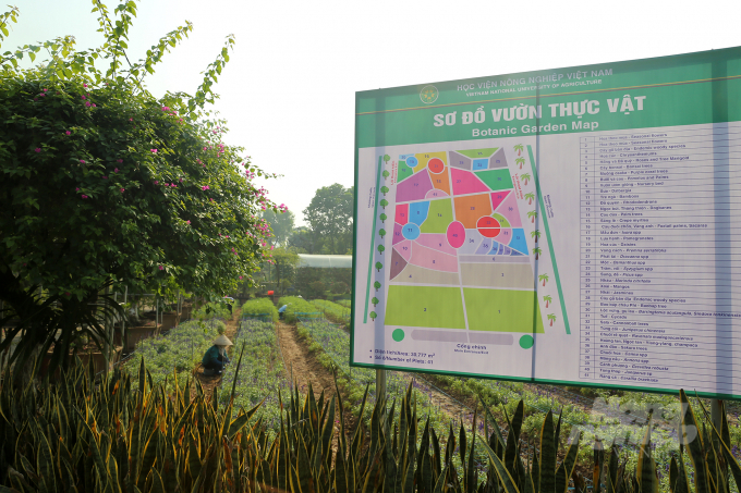 Học viện Nông nghiệp Việt Nam tọa lạc tại Trâu Quỳ, huyện Gia Lâm, Hà Nội. Đây là một trong những ngôi trường có diện tích rộng nhất cả nước, với gần 200ha. Vườn thực vật Học viện Nông nghiệp toạ lạc bên trong trường đang dần trở thành địa điểm thu hút giới trẻ.