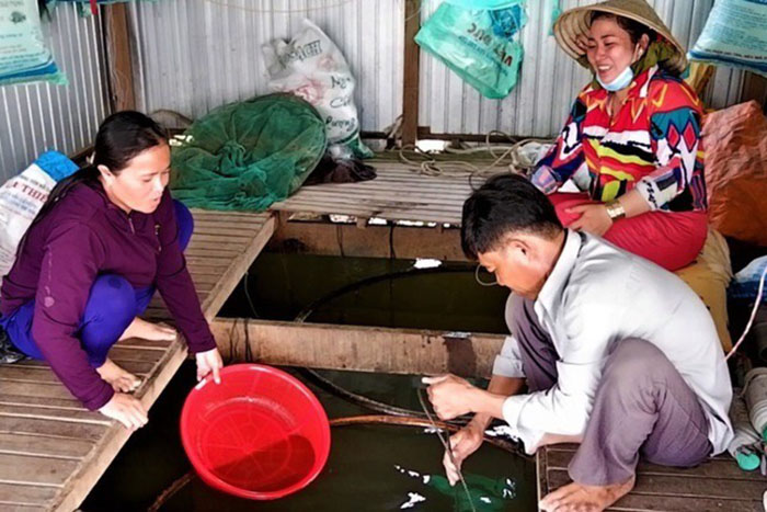 Gia đình anh Nên bên bè cá heo đuôi đỏ.