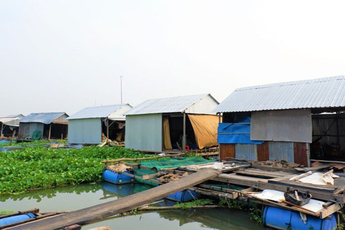 Khu vực bè nuôi cá heo đuôi đỏ