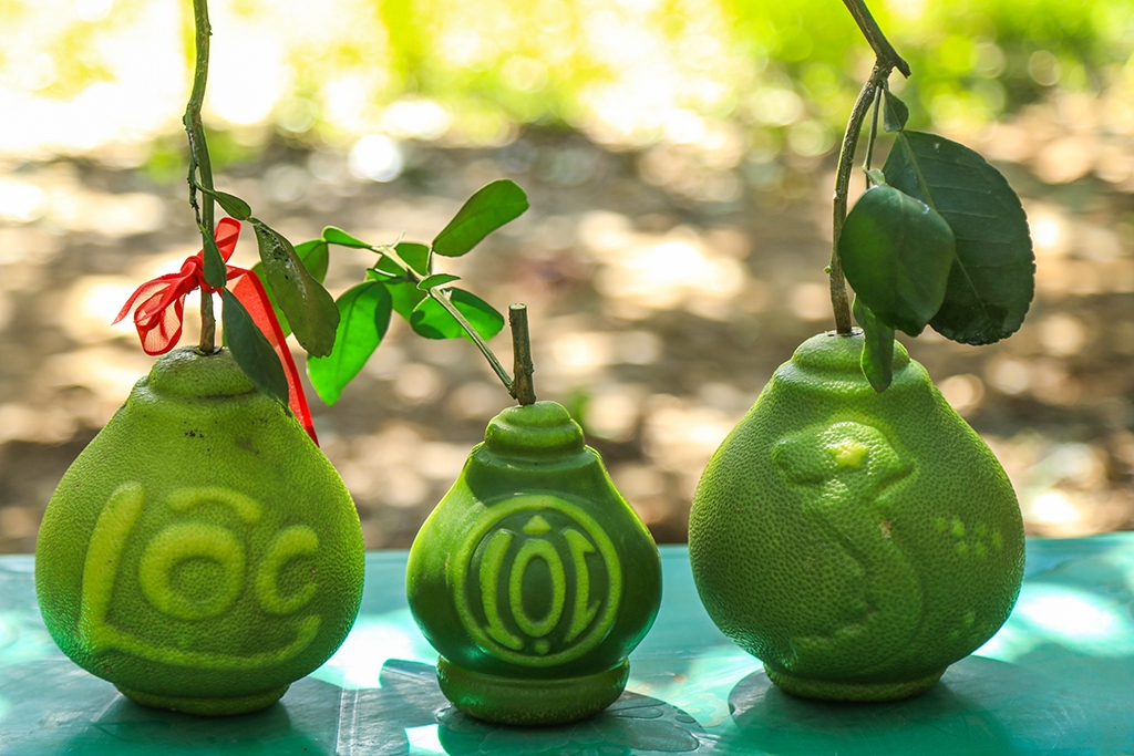 4 loại quả cứ đến Tết lại đắt hàng, có loại cả triệu đồng/quả - Ảnh 7.