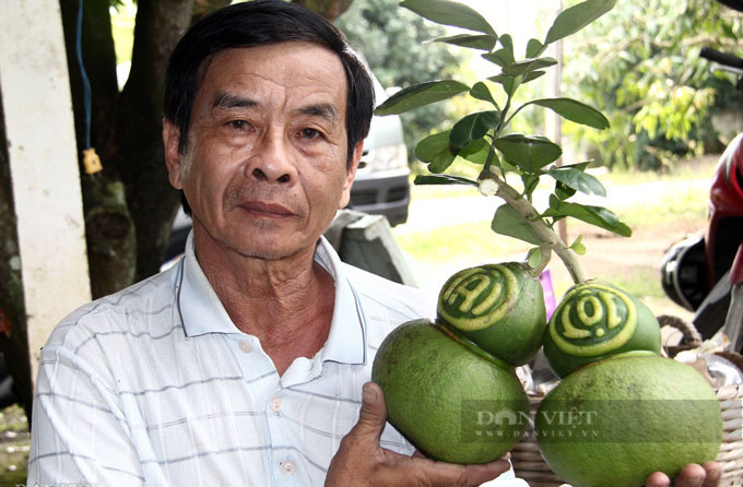 4 loại quả cứ đến Tết lại đắt hàng, có loại cả triệu đồng/quả - Ảnh 6.