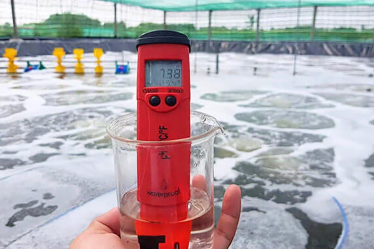 Bút đo pH thuỷ sản