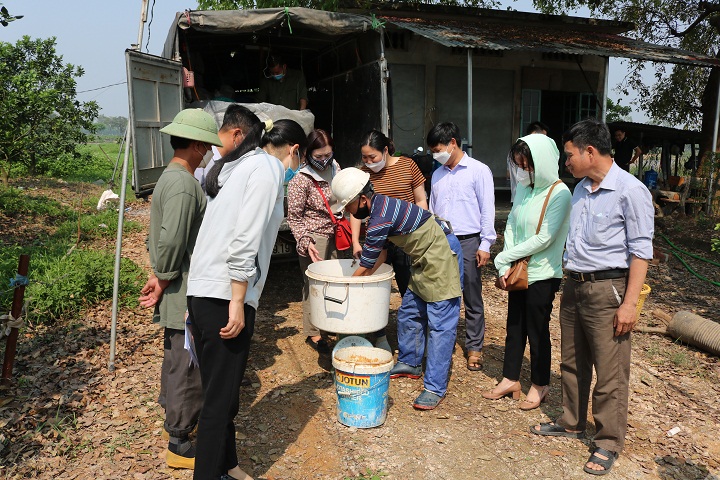 Nuôi cá trong ruộng lúa, cho ăn sâu bọ cá nhanh lớn, 1 huyện hỗ trợ nông dân 45.000 con cá chép giống - Ảnh 1.