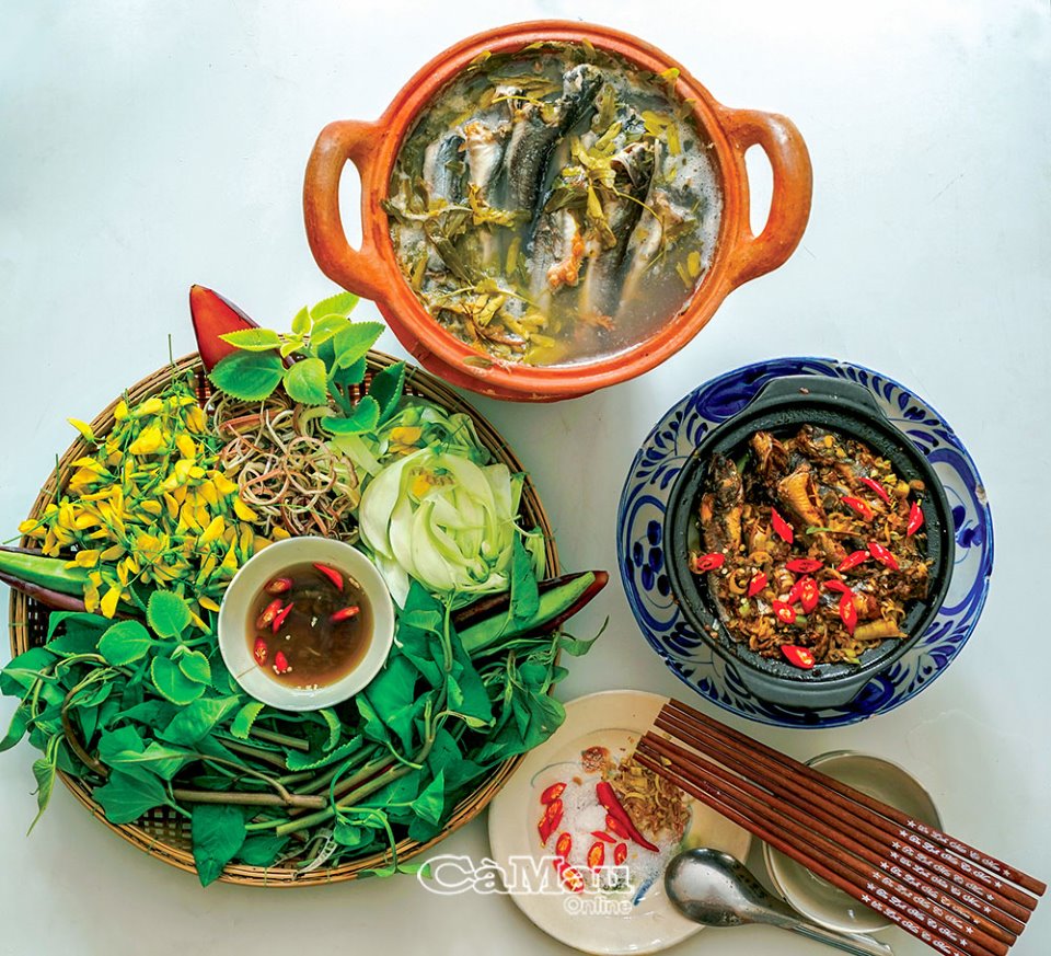 Trời mưa đi bắt cá chốt trứng ở Cà Mau về nấu canh lá me non, sao ăn mấy bữa liền vẫn thòm thèm? - Ảnh 4.