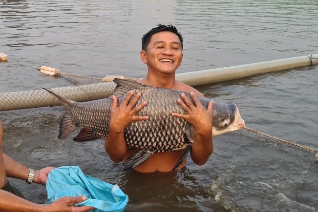 Nuôi loài cá suýt tuyệt chủng, nông dân này ở Tiền Giang thu tiền tỷ  - Ảnh 1.