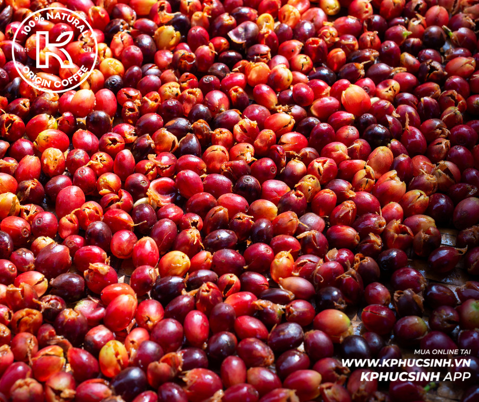 Loại vỏ tưởng là đồ bỏ đi, được "vua tiêu" chế biến thành trà cascara bán giá 1,5 triệu đồng/kg - Ảnh 1.