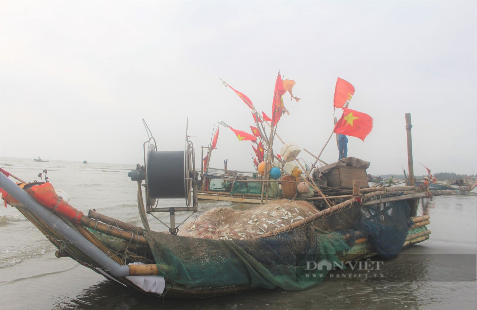 Ngư dân Hà Tĩnh đánh được hàng tấn cá trích mỗi ngày, cá mắc chi chít lưới, gỡ mỏi tay không hết - Ảnh 3.