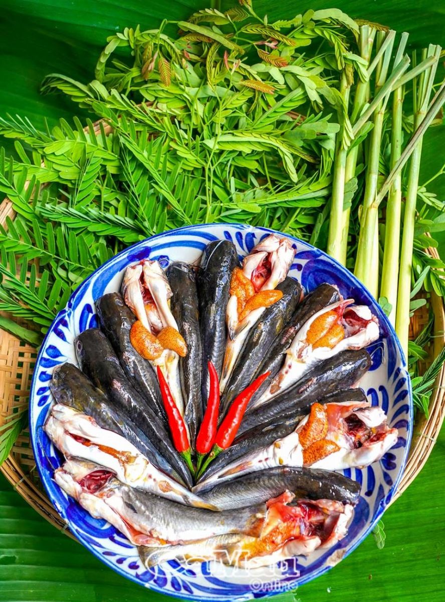 Trời mưa đi bắt cá chốt trứng ở Cà Mau về nấu canh lá me non, sao ăn mấy bữa liền vẫn thòm thèm? - Ảnh 3.