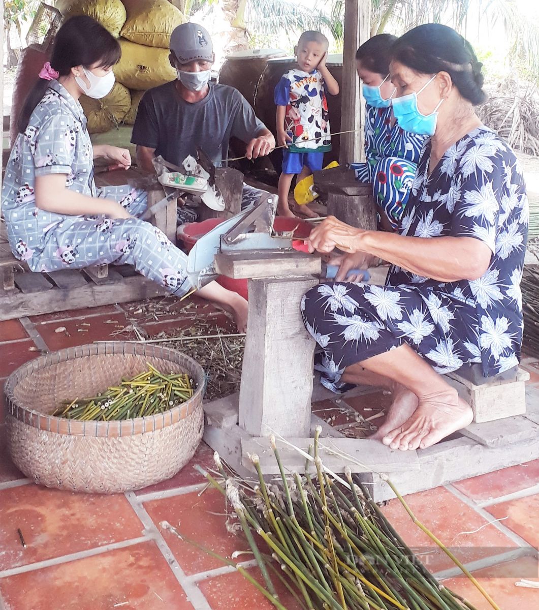 Hái ra tiền nhờ cành trúc tưởng là thứ bỏ đi - Ảnh 3.