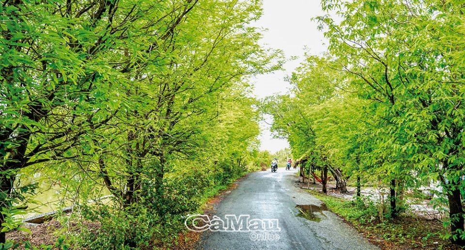 Trời mưa đi bắt cá chốt trứng ở Cà Mau về nấu canh lá me non, sao ăn mấy bữa liền vẫn thòm thèm? - Ảnh 1.