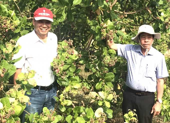 danh-gia-mo-hinh-ung-dung-dong-bo-tai-bom-bo-1541_20211130_387.jpg Kiểm tra, đánh giá mô hình tại Bom Bo (Bù Đăng, Bình Phước). Ảnh: Trần Trung.