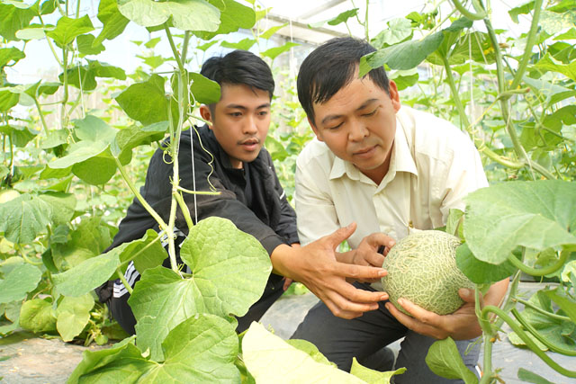 Nhiều mô hình khởi nghiệp của nông dân Đồng Tháp có thu nhập tiền tỷ - Ảnh 2.