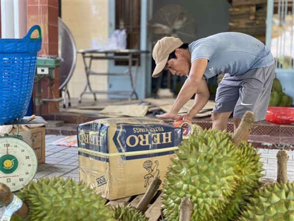 Một xã của Tây Ninh có 1.000ha sầu riêng, 800ha đang cho trái, cứ 1ha trồng sầu riêng thu 800-900 triệu - Ảnh 7.