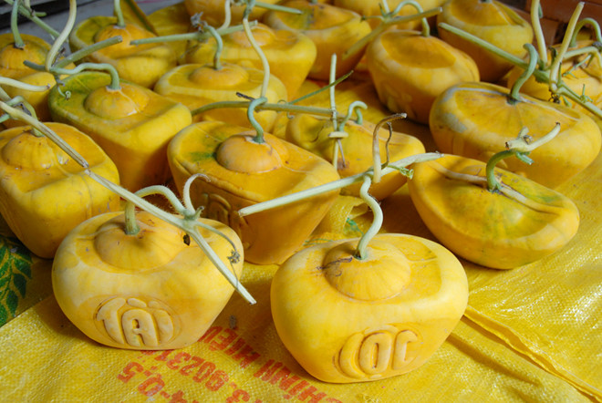 4 loại quả cứ đến Tết lại đắt hàng, có loại cả triệu đồng/quả - Ảnh 12.