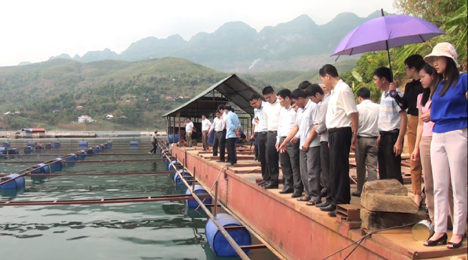 11024534dua_san_pham_dac_san_ca_song_da_-_quynh_nhai_ra_thi_truong_ngoai_tinh-110245.png Huyện Quỳnh Nhai (Sơn La) thường xuyên tổ chức các hội nghị, mô hình nuôi cá lồng bền vững để người dân học tập, nhân rộng. Ảnh: Nguyễn Thiệu.
