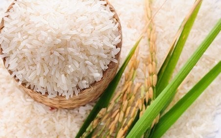 Gạo ST25 được hỗ trợ để cạnh tranh tốt hơn với dòng gạo Hom Mali của Thái Lan