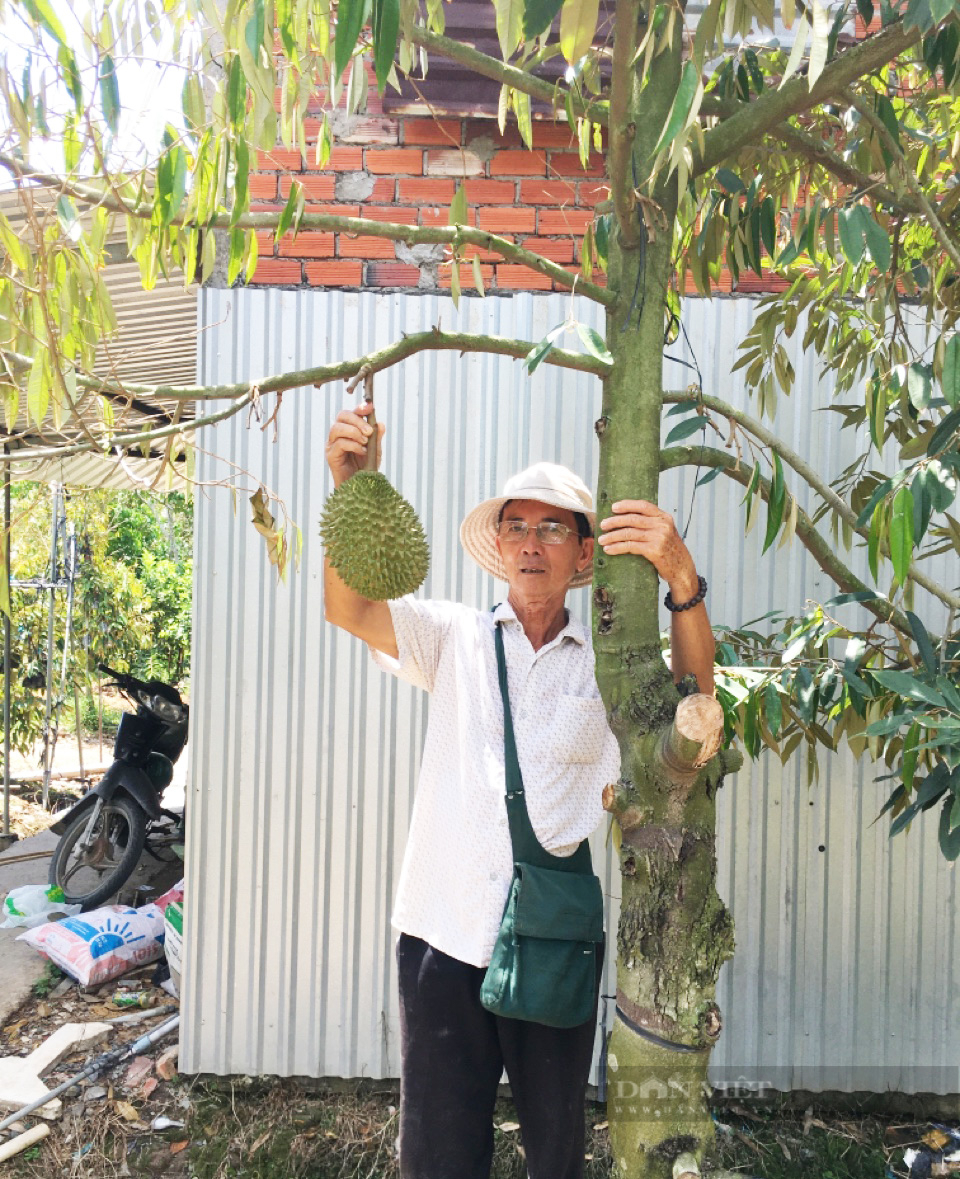 Sầu riêng Musang King trồng ở miền Tây: Ăn rất ngon, giá đắt đỏ - Ảnh 4.