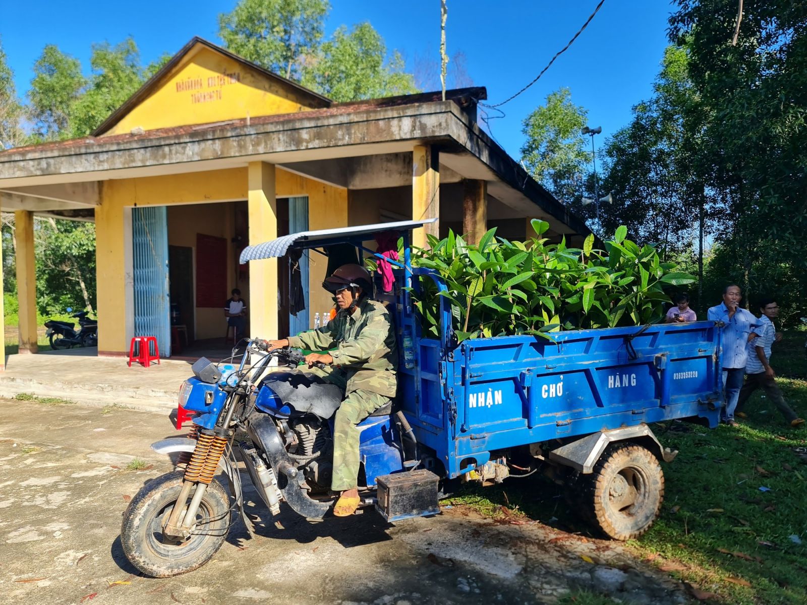 Cây ăn quả mang tên “Nữ Hoàng” chịu được gió bão, dân xứ Quảng xem là “trái vàng” - Ảnh 4.