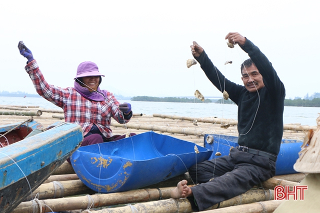 Ông Lưu Văn Quang san giống, chuẩn bị thả vào bè